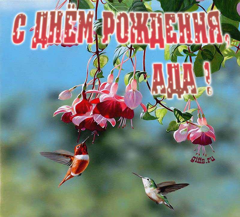 Яркая летняя открытка с птичками в цветах ко дню рождения Ады. Яркая летняя открытка с птичками в цветах ко дню рождения Ады.