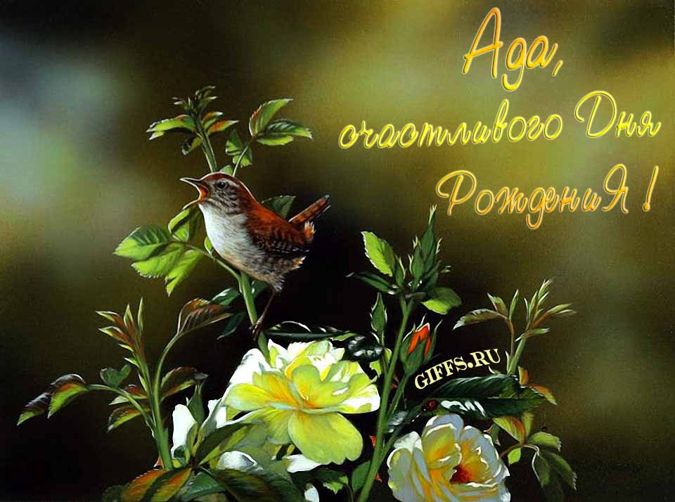 Прикольная картинка с кричащей птичкой : "Ада, счастливого дня рождения!". Прикольная картинка с кричащей птичкой : "Ада, счастливого дня рождения!".