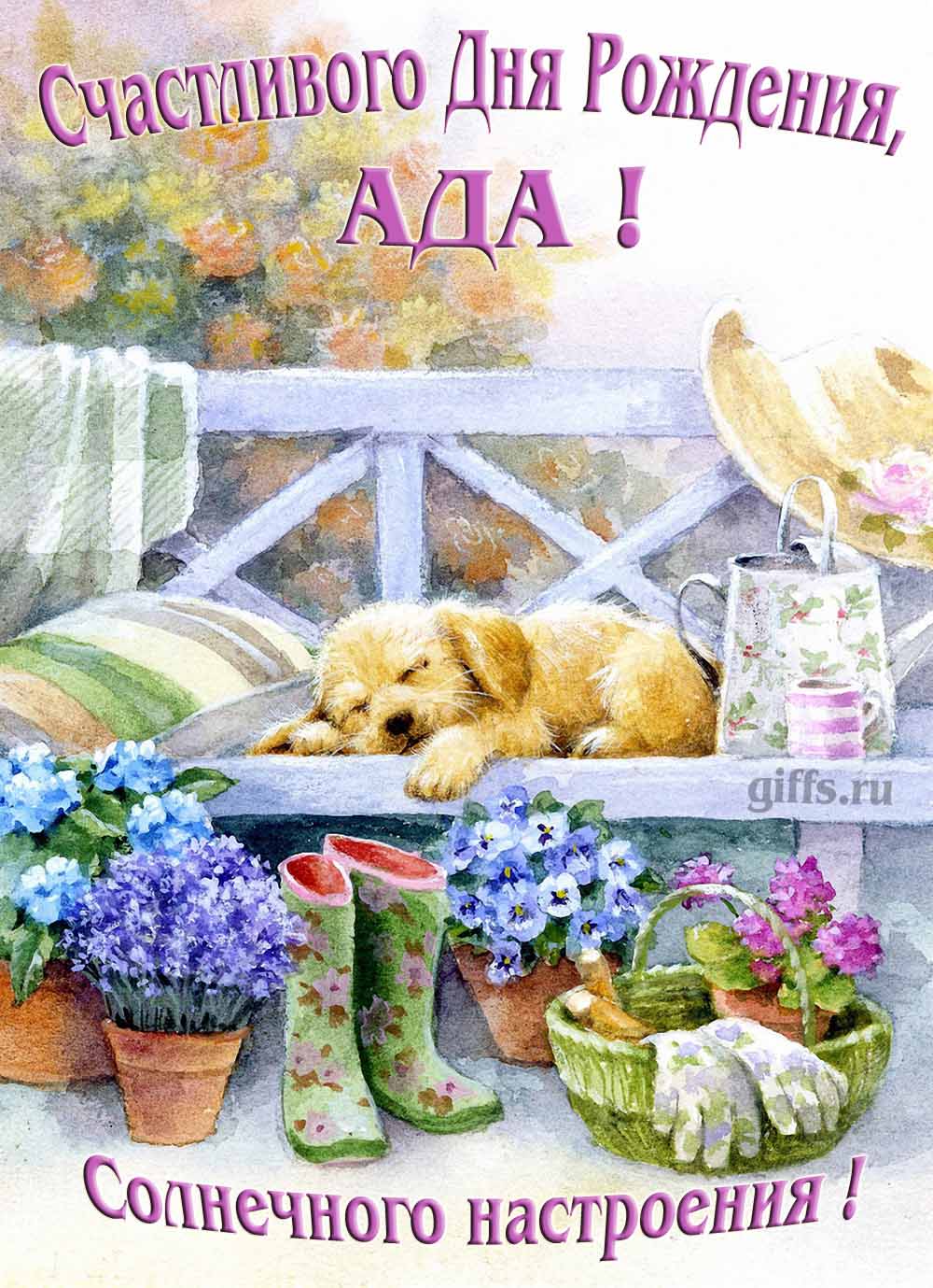 Прикольная картинка с собачкой и пожеланием Аде счастливого дня рождения и солнечного настроения. Прикольная картинка с собачкой и пожеланием Аде счастливого дня рождения и солнечного настроения.