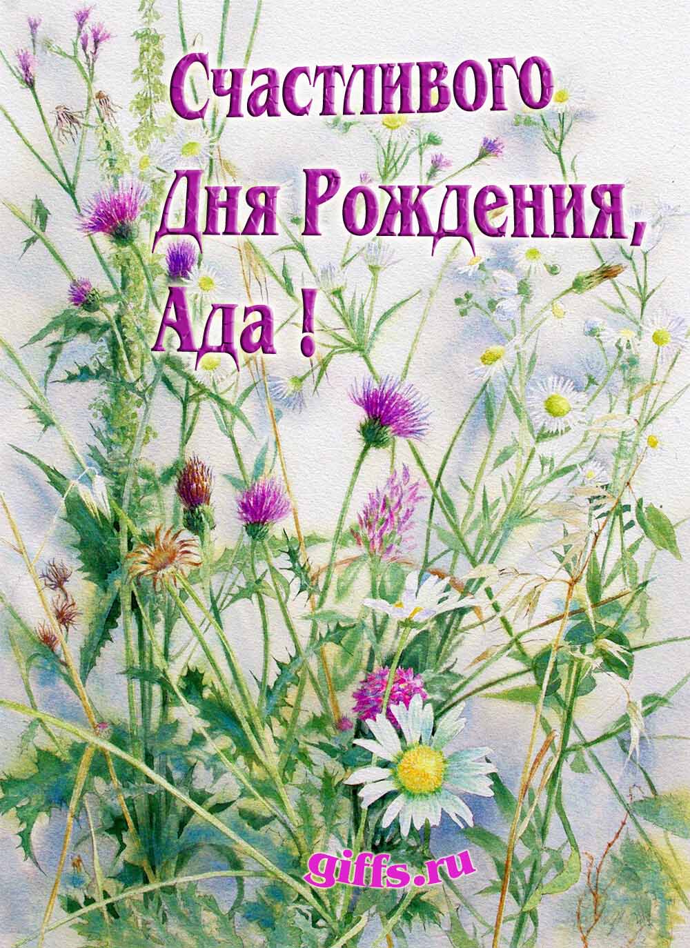 Картинка с луговыми цветами и пожеланием счастливого дня рождения девушке Аде. Картинка с луговыми цветами и пожеланием счастливого дня рождения девушке Аде.