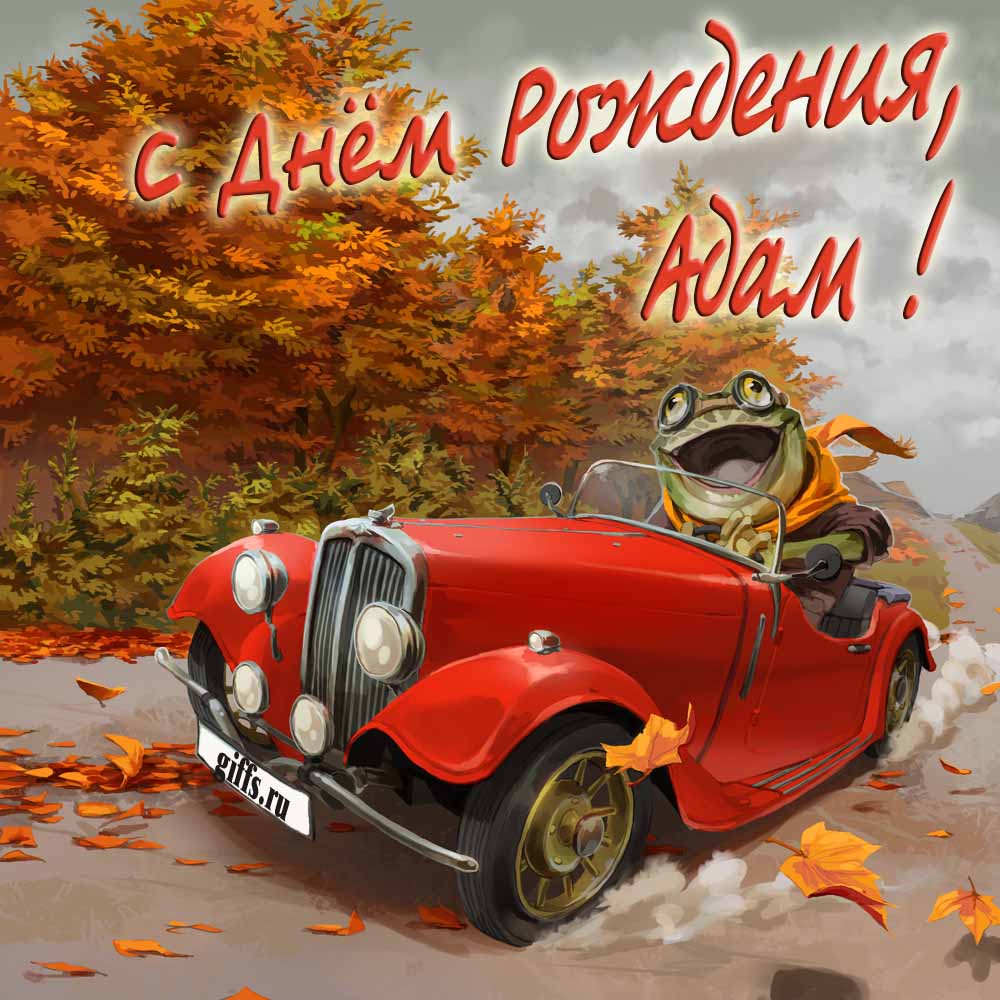 Прикольная осенняя картинка с лягушкой за рулём красной машины "С днём рождения, Адам!".