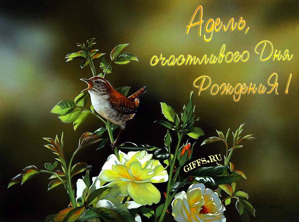 Прикольная картинка с кричащей птичкой : "Адель, счастливого дня рождения!". Прикольная картинка с кричащей птичкой : "Адель, счастливого дня рождения!".