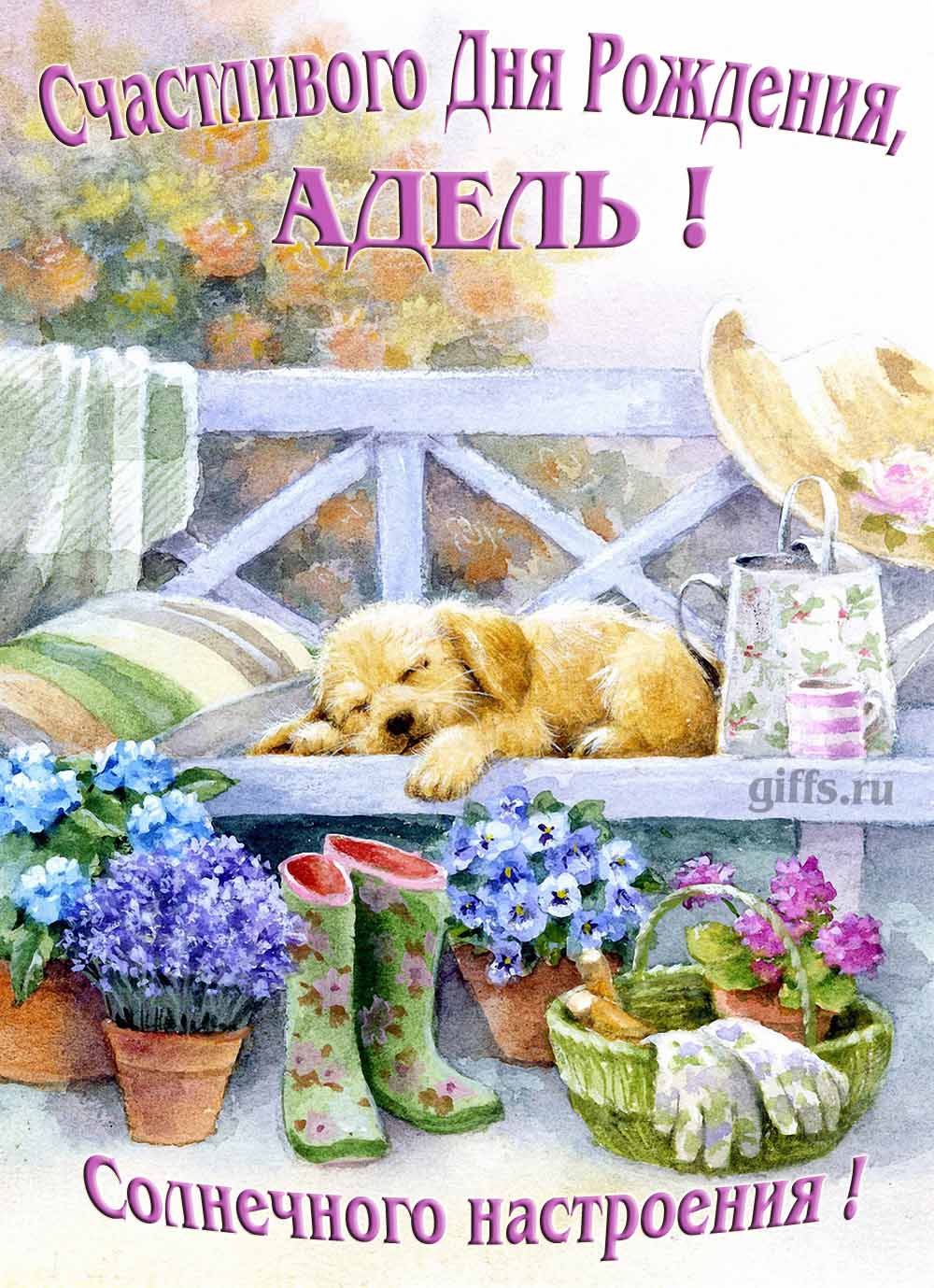 Прикольная картинка с собачкой и пожеланием Аделе счастливого дня рождения и солнечного настроения. Прикольная картинка с собачкой и пожеланием Аделе счастливого дня рождения и солнечного настроения.