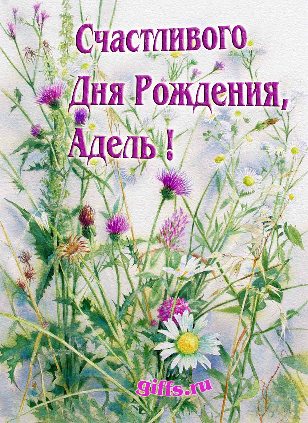 Картинка с луговыми цветами и пожеланием счастливого дня рождения девушке Адель. Картинка с луговыми цветами и пожеланием счастливого дня рождения девушке Адель.