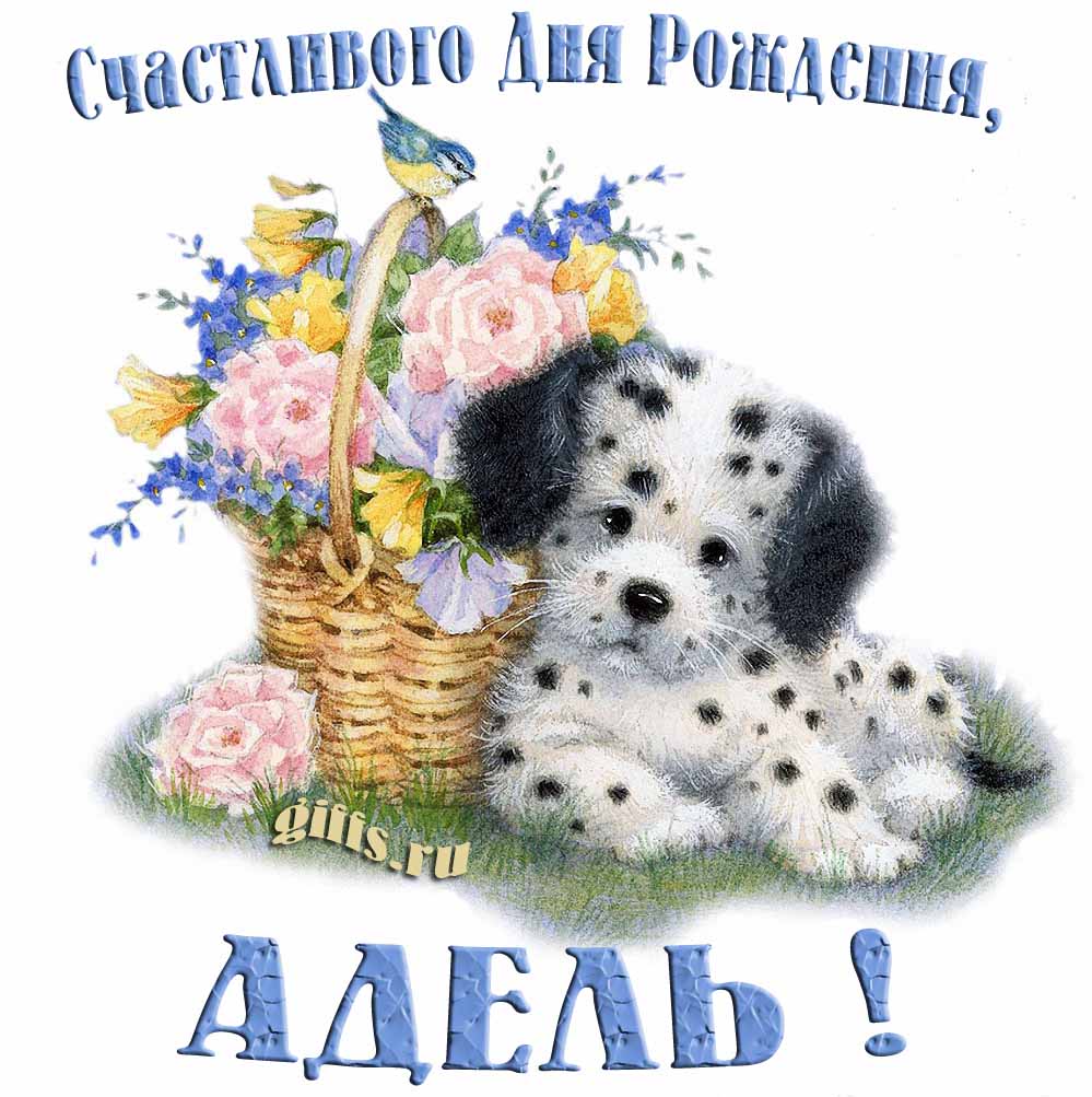 Прикольная и смешная открытка с корзиной цветов и собачкой для пожелания счастливого дня рождения Аделечке. Прикольная и смешная открытка с корзиной цветов и собачкой для пожелания счастливого дня рождения Аделечке.