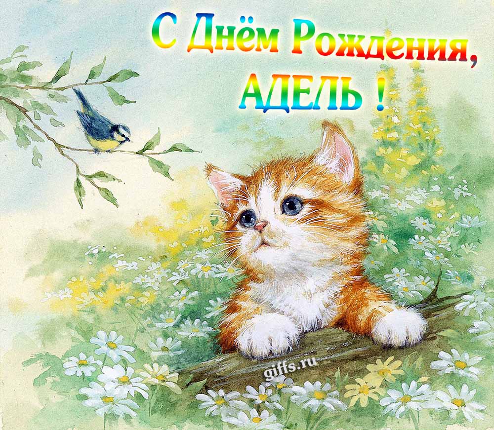 Красивая картинка с котёнком в полевых ромашках для поздравления Адель с днём её рождения. Красивая картинка с котёнком в полевых ромашках для поздравления Адель с днём её рождения.