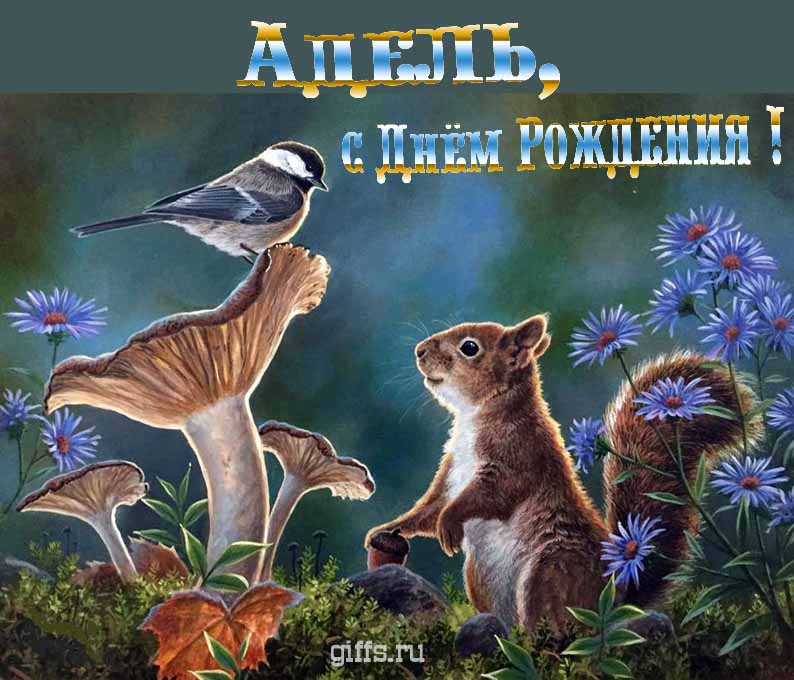 Прикольная и смешная открытка с белочкой среди грибов для поздравления Адель с ДР. Прикольная и смешная открытка с белочкой среди грибов для поздравления Адель с ДР.