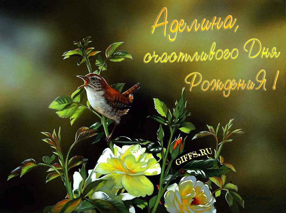 Прикольная картинка с кричащей птичкой : "Аделина, счастливого дня рождения!".