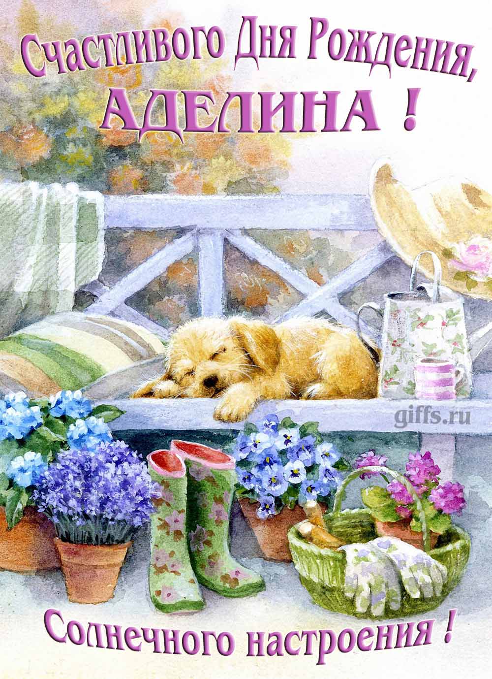 Прикольная картинка с собачкой и пожеланием Аделине счастливого дня рождения и солнечного настроения.