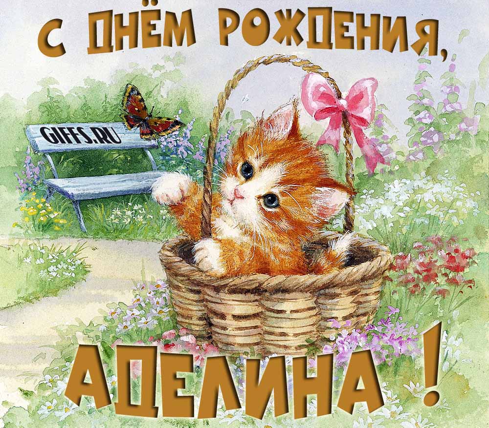 Милая летняя открытка с рыжим котёнком и поздравлением в день рождения для Аделины.