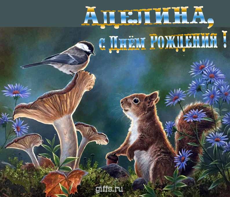 Прикольная и смешная открытка с белочкой среди грибов для поздравления Аделины с ДР.