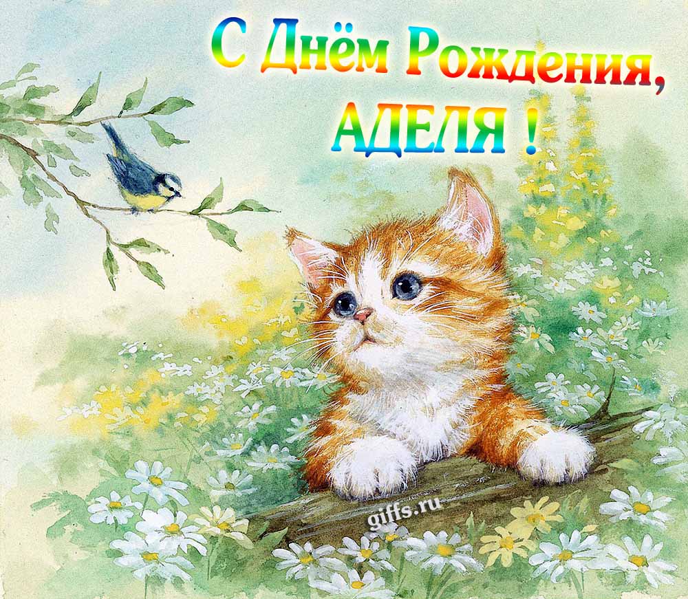Красивая картинка с котёнком в полевых ромашках для поздравления Аделии с днём её рождения. Красивая картинка с котёнком в полевых ромашках для поздравления Аделии с днём её рождения.