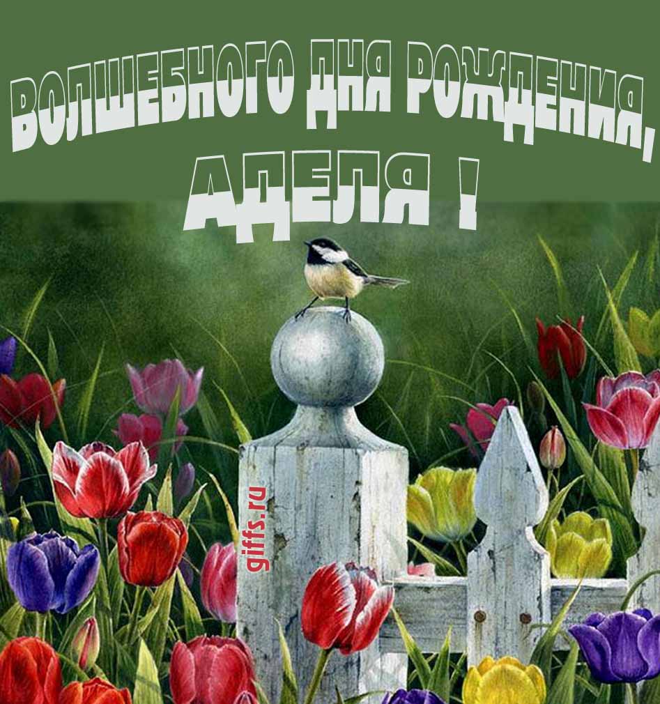 Нежная картинка с разноцветными тюльпанами и надписью "Волшебного дня рождения, Аделя!". Нежная картинка с разноцветными тюльпанами и надписью "Волшебного дня рождения, Аделя!".