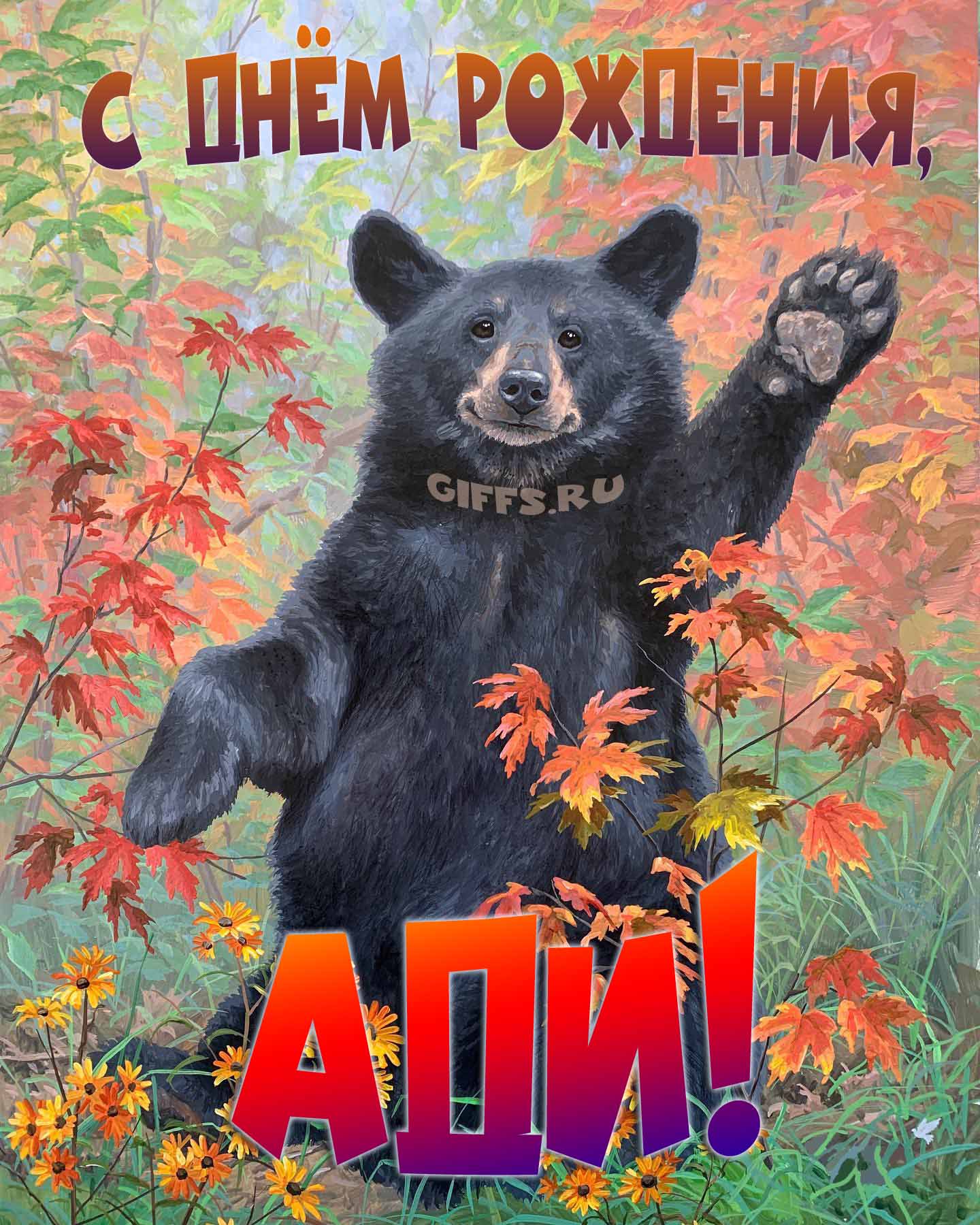 Смешная и прикольная осенняя картинка с машущим медведем "С днём рождения, Ади!". Смешная и прикольная осенняя картинка с машущим медведем "С днём рождения, Ади!".