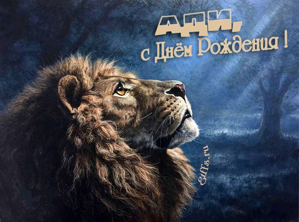 Крутая открытка со львом смотрящим на лунный свет и текстом "Ади, с днём рождения!". Крутая открытка со львом смотрящим на лунный свет и текстом "Ади, с днём рождения!".