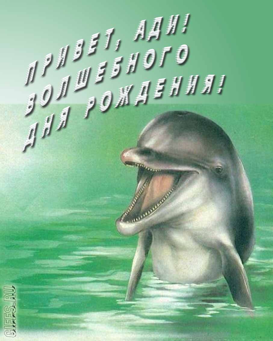 Прикольная картинка с дельфином "Привет, Ади! Волшебного дня рождения!". Прикольная картинка с дельфином "Привет, Ади! Волшебного дня рождения!".