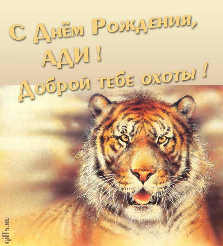 Прикольная картинка с суровым тигром "С днём рождения, Ади! Доброй тебе охоты!". Прикольная картинка с суровым тигром "С днём рождения, Ади! Доброй тебе охоты!".