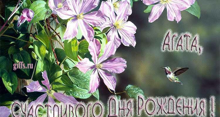 Открытки с днём рождения Агата (Картинки, аудио поздравления, гифки)