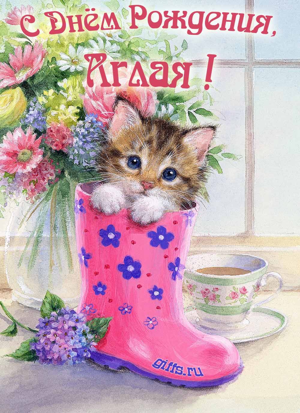 Милая открытка с букетом цветов и котёнком для поздравления девушки с именем Аглая в день её рождения. Милая открытка с букетом цветов и котёнком для поздравления девушки с именем Аглая в день её рождения.