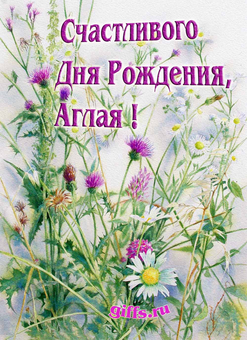 Картинка с луговыми цветами и пожеланием счастливого дня рождения девушке Аглае. Картинка с луговыми цветами и пожеланием счастливого дня рождения девушке Аглае.