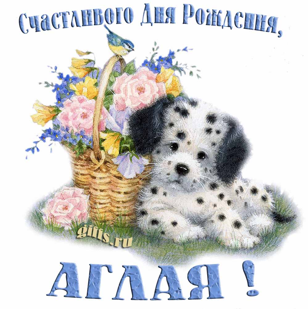 Прикольная и смешная открытка с корзиной цветов и собачкой для пожелания счастливого дня рождения Аглае. Прикольная и смешная открытка с корзиной цветов и собачкой для пожелания счастливого дня рождения Аглае.