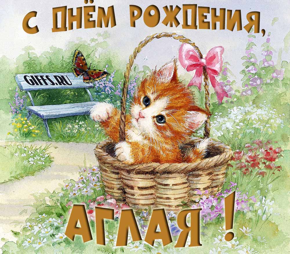 Милая летняя открытка с рыжим котёнком и поздравлением в день рождения для Аглаи. Милая летняя открытка с рыжим котёнком и поздравлением в день рождения для Аглаи.