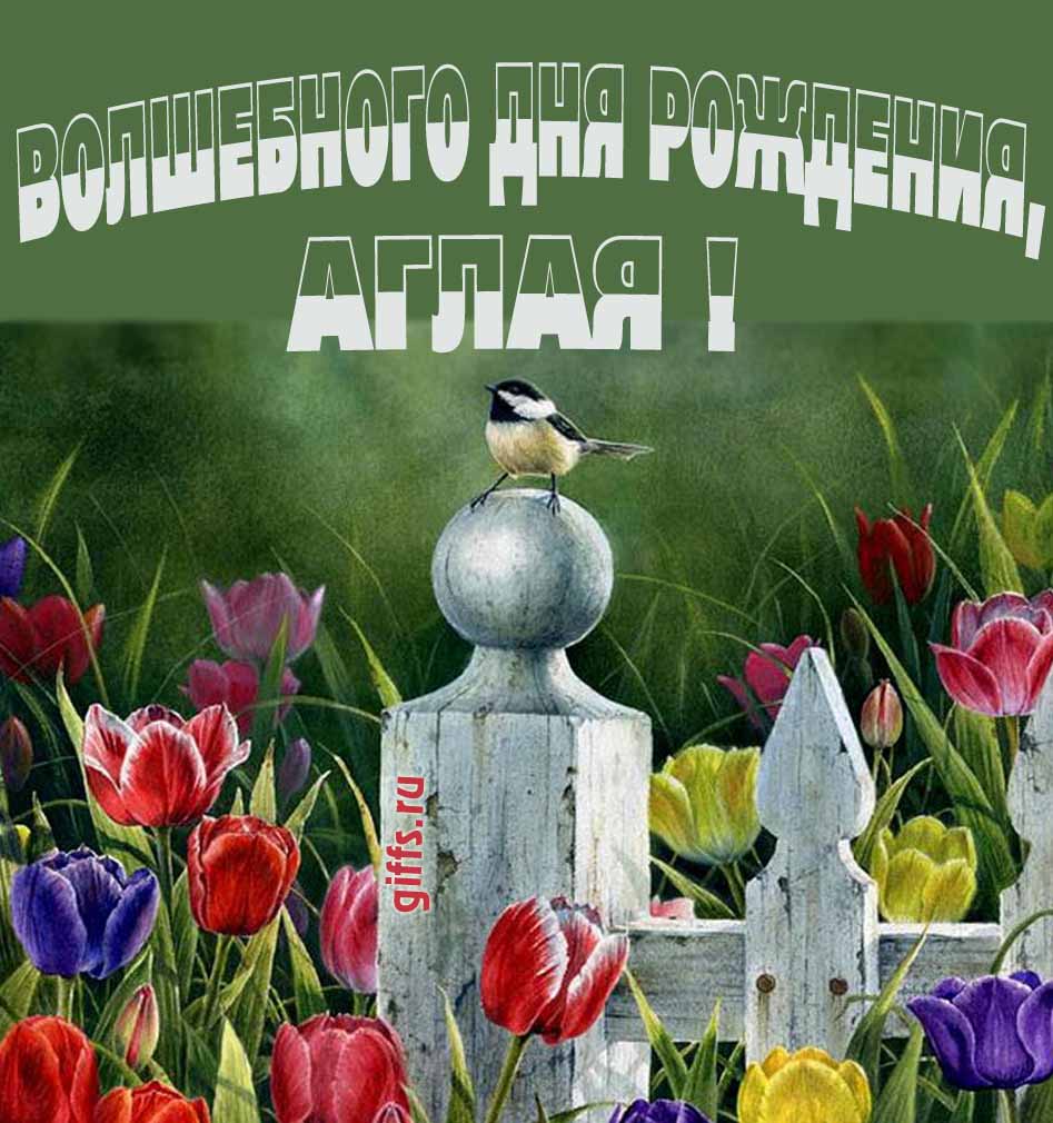 Нежная картинка с разноцветными тюльпанами и надписью "Волшебного дня рождения, Аглая!". Нежная картинка с разноцветными тюльпанами и надписью "Волшебного дня рождения, Аглая!".