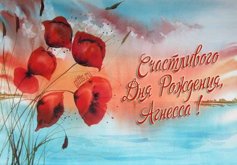 Шикарная морская картинка с цветами мака на фоне озера и поздравлением с днём рождения Агнессе.