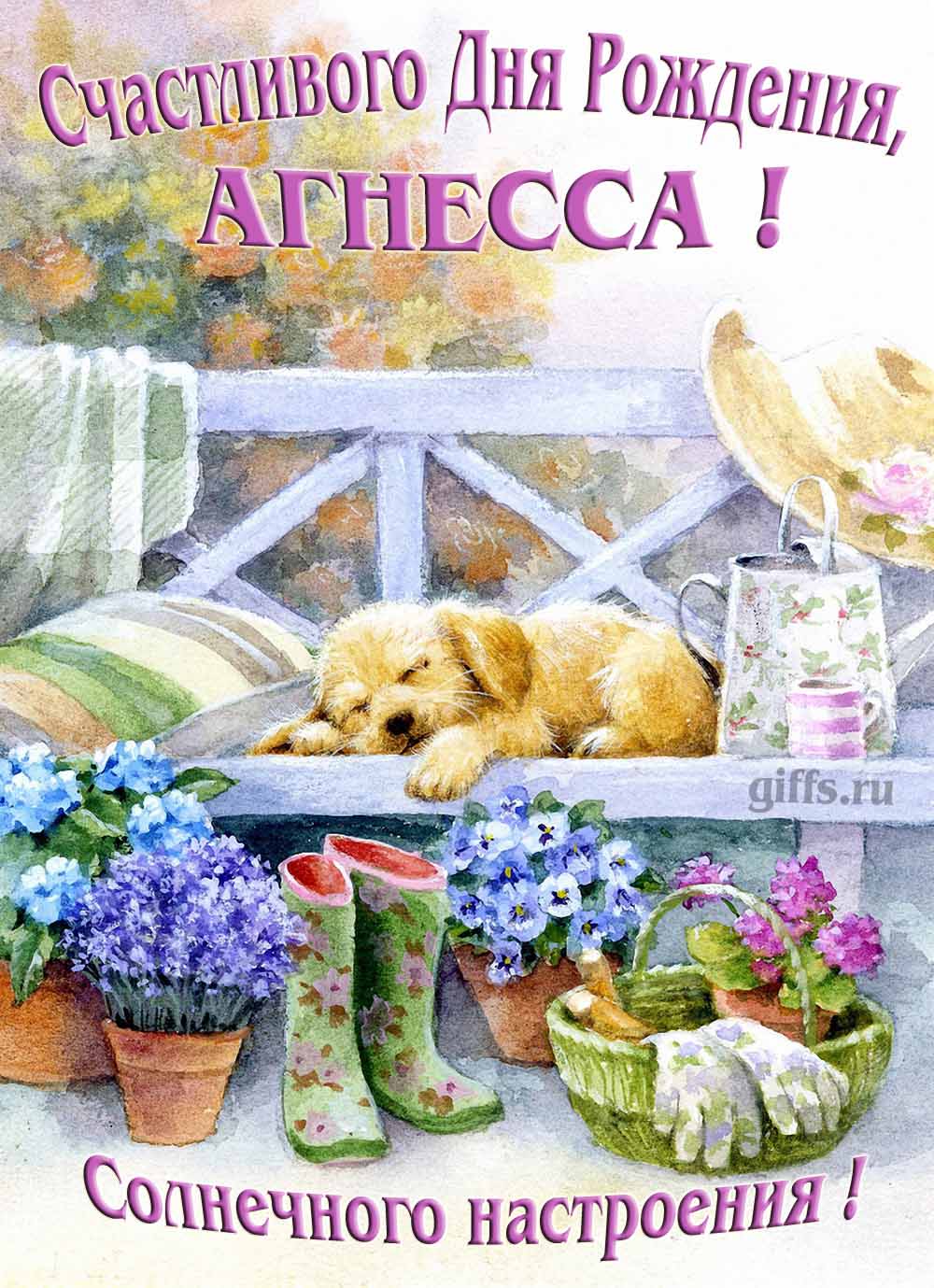 Прикольная картинка с собачкой и пожеланием Агнессе счастливого дня рождения и солнечного настроения.
