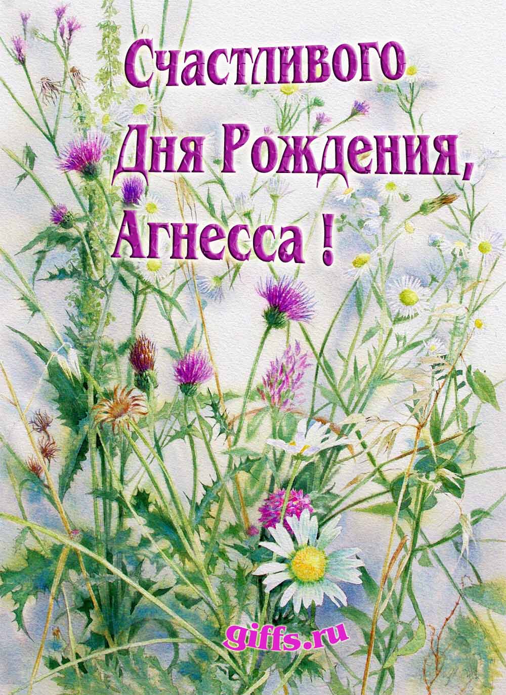 Картинка с луговыми цветами и пожеланием счастливого дня рождения девушке Агнессе.