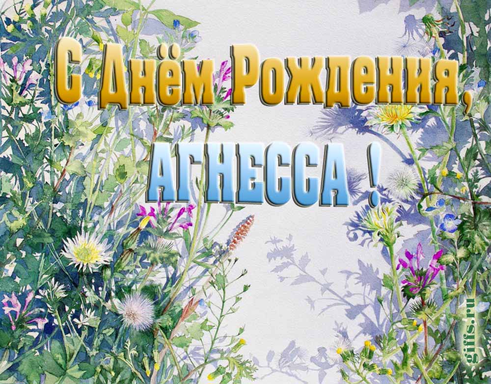 На сайте giffs.ru самые красивые открытки с цветами ко дню рождения Агнессы можно скачать бесплатно.