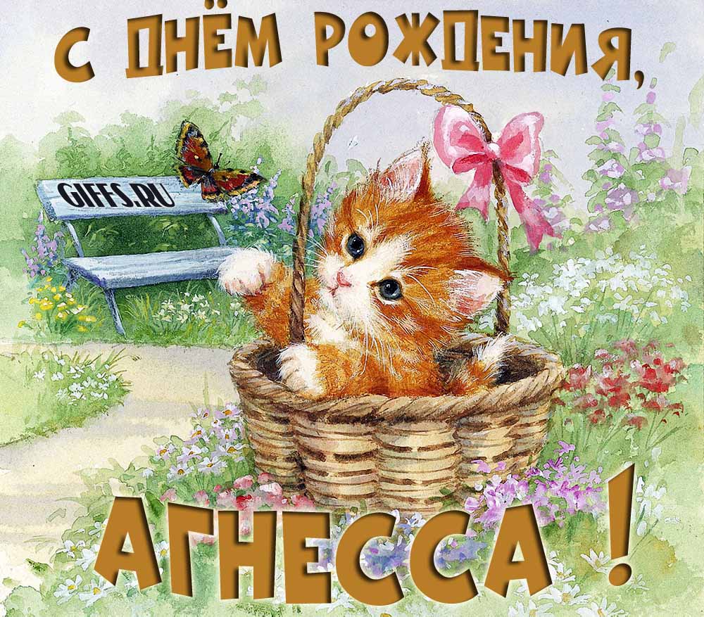 Милая летняя открытка с рыжим котёнком и поздравлением в день рождения для Агнессы.