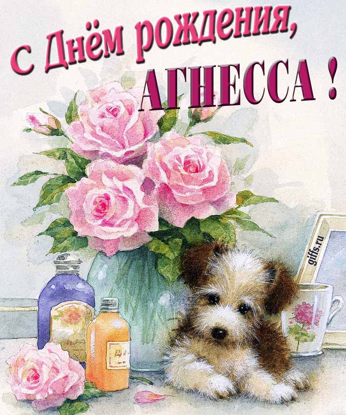 Новая нежная открытка с днём рождения Агнесса с розами с собачкой.