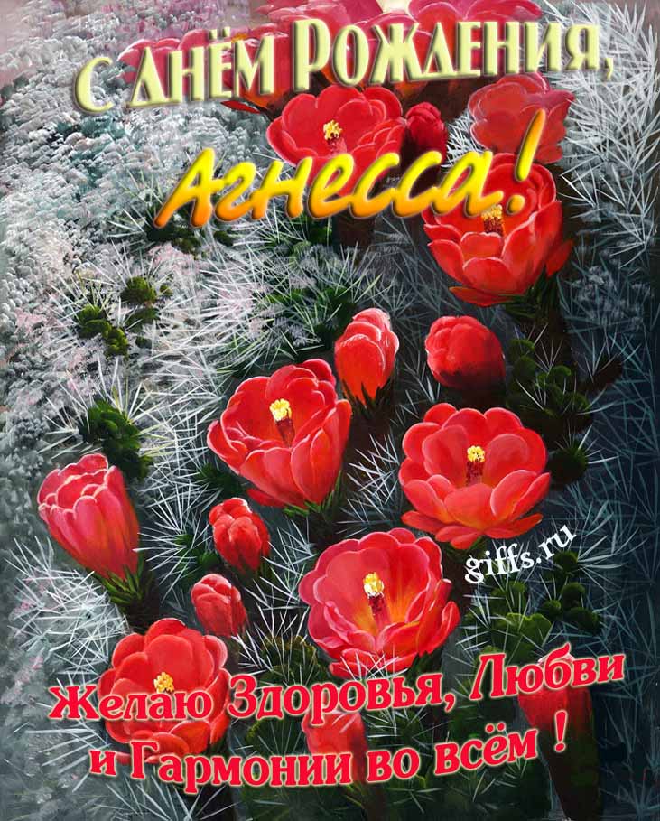 Шикарные открытки с днём Рождения, Агнесса! С пожеланием здоровья, любви и гармонии во всём!