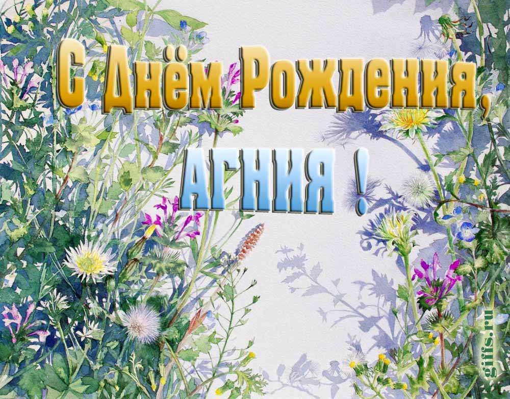 На сайте giffs.ru самые красивые открытки с цветами ко дню рождения Агнии можно скачать бесплатно.