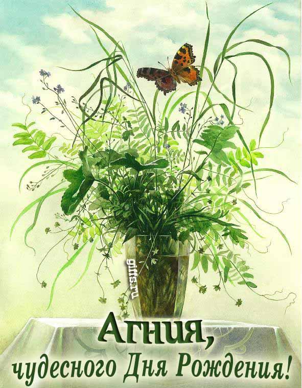 Необычная открытка с бабочкой на цветах и с текстом "Агния, чудесного дня рождения!".