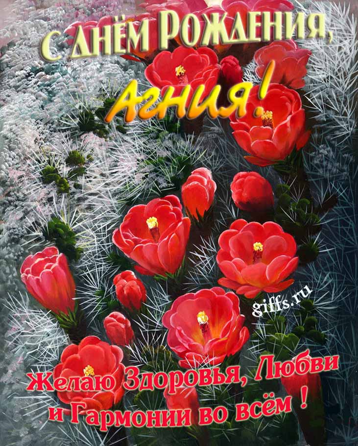 Шикарные открытки с днём Рождения, Агния! С пожеланием здоровья, любви и гармонии во всём!