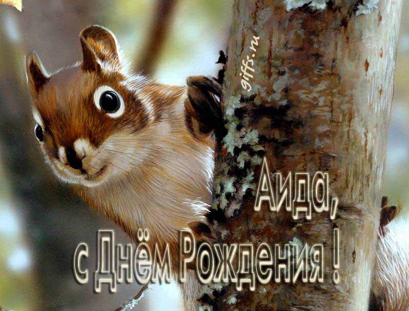 Смешная картинка с белочкой для поздравления Аиды с ДР. Смешная картинка с белочкой для поздравления Аиды с ДР.