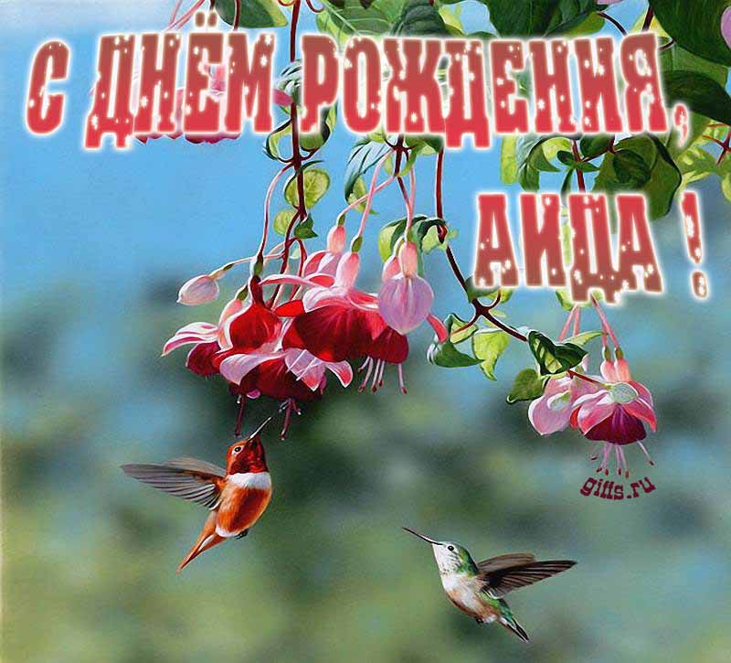 Яркая летняя открытка с птичками в цветах ко дню рождения Аиды. Яркая летняя открытка с птичками в цветах ко дню рождения Аиды.