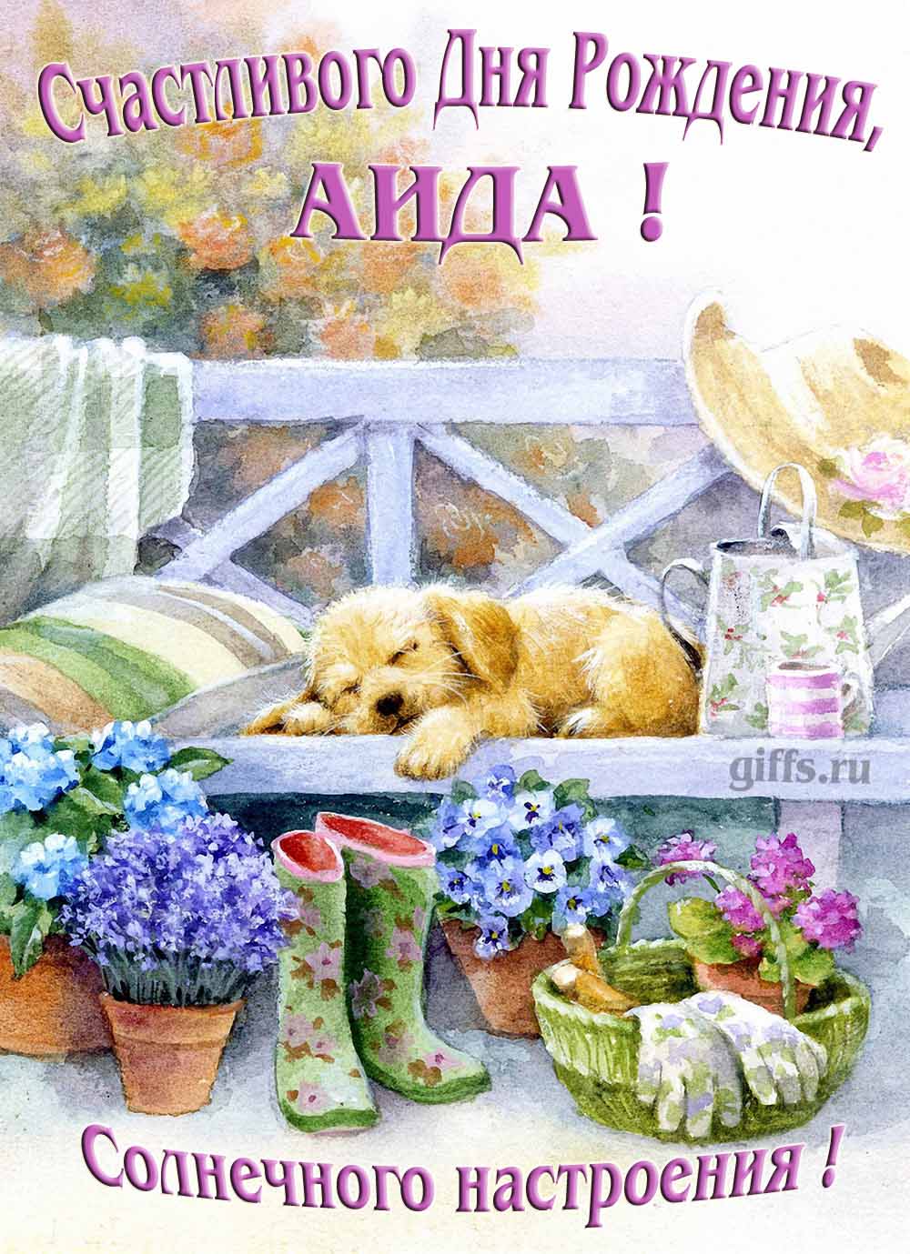 Прикольная картинка с собачкой и пожеланием Аиде счастливого дня рождения и солнечного настроения. Прикольная картинка с собачкой и пожеланием Аиде счастливого дня рождения и солнечного настроения.