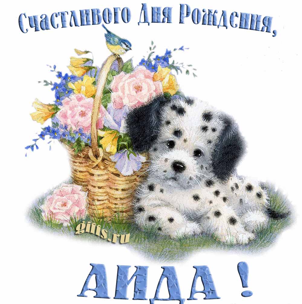 Прикольная и смешная открытка с корзиной цветов и собачкой для пожелания счастливого дня рождения Аиде. Прикольная и смешная открытка с корзиной цветов и собачкой для пожелания счастливого дня рождения Аиде.