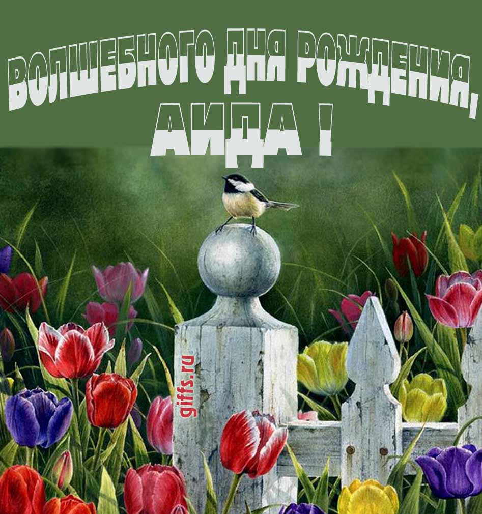 Нежная картинка с разноцветными тюльпанами и надписью "Волшебного дня рождения, Аида!". Нежная картинка с разноцветными тюльпанами и надписью "Волшебного дня рождения, Аида!".