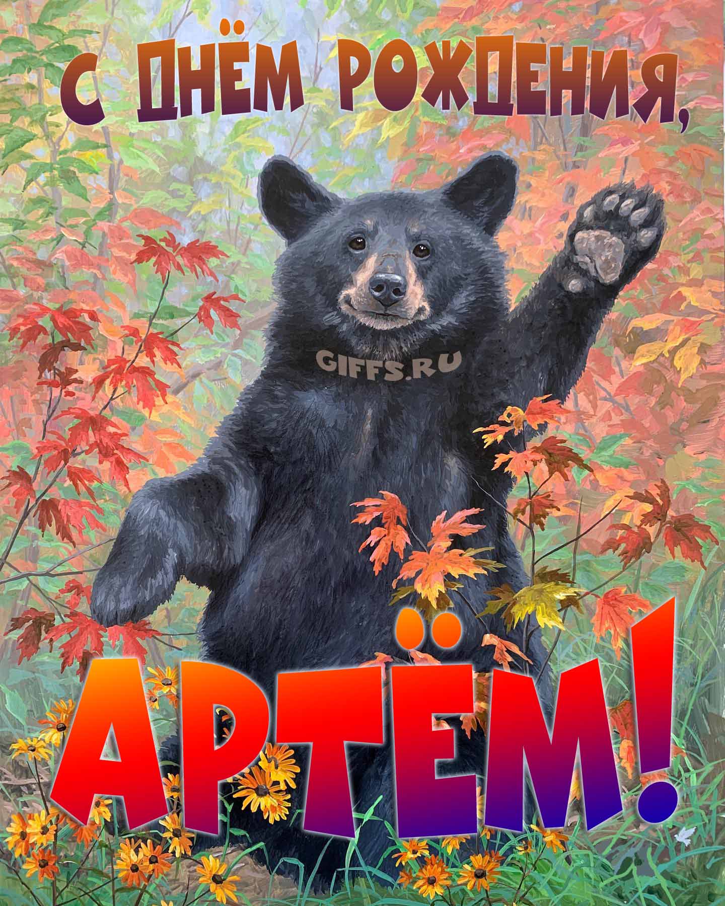 Смешная и прикольная осенняя картинка с машущим медведем "С днём рождения, Артём!".