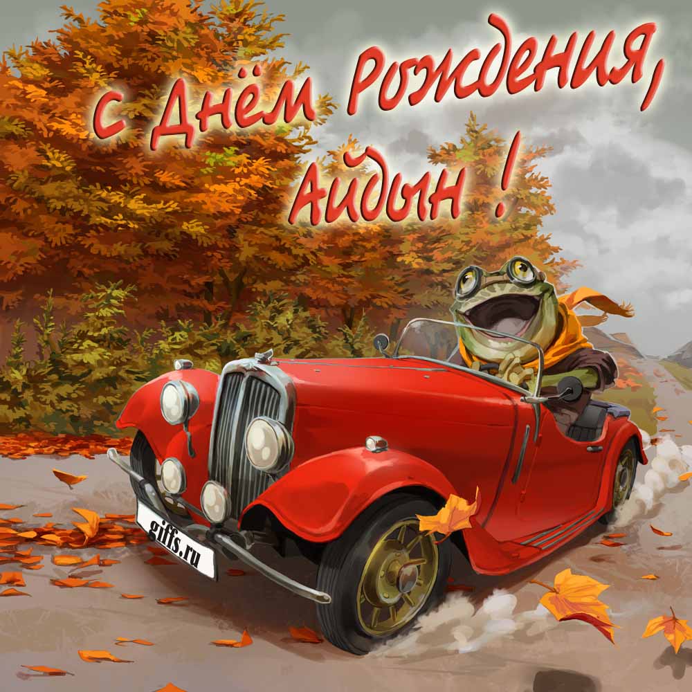 Прикольная осенняя картинка с лягушкой за рулём красной машины "С днём рождения, Айдын!". Прикольная осенняя картинка с лягушкой за рулём красной машины "С днём рождения, Айдын!".
