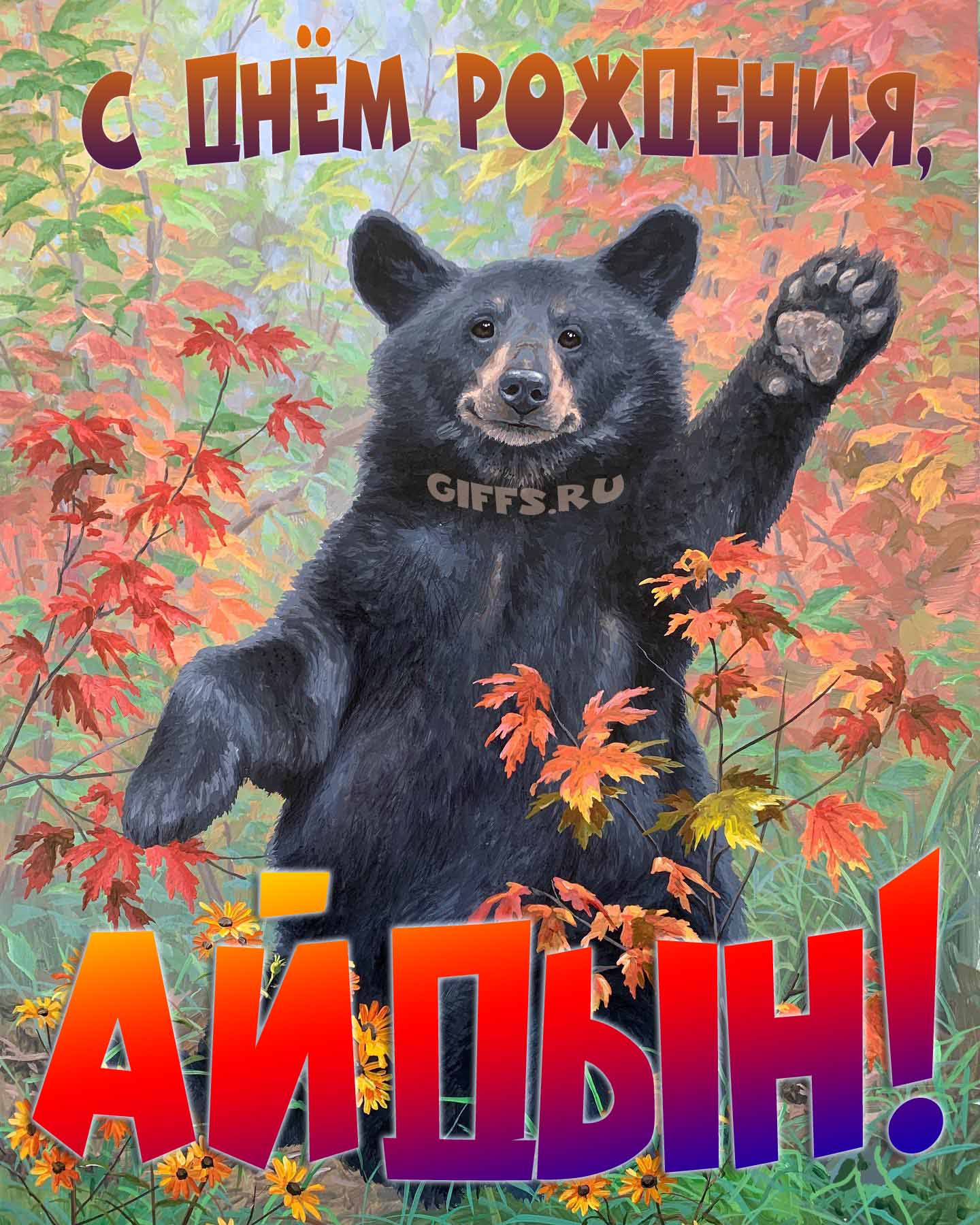 Смешная и прикольная осенняя картинка с машущим медведем "С днём рождения, Айдын!". Смешная и прикольная осенняя картинка с машущим медведем "С днём рождения, Айдын!".