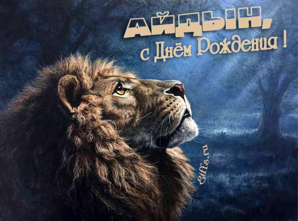 Крутая открытка со львом смотрящим на лунный свет и текстом "Айдын, с днём рождения!". Крутая открытка со львом смотрящим на лунный свет и текстом "Айдын, с днём рождения!".