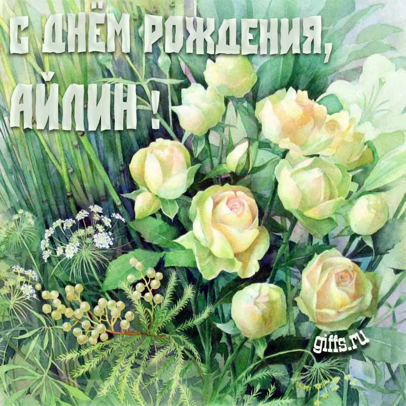 Летняя креативная открытка с белыми розами в траве на день рождения Айлине. Летняя креативная открытка с белыми розами в траве на день рождения Айлине.