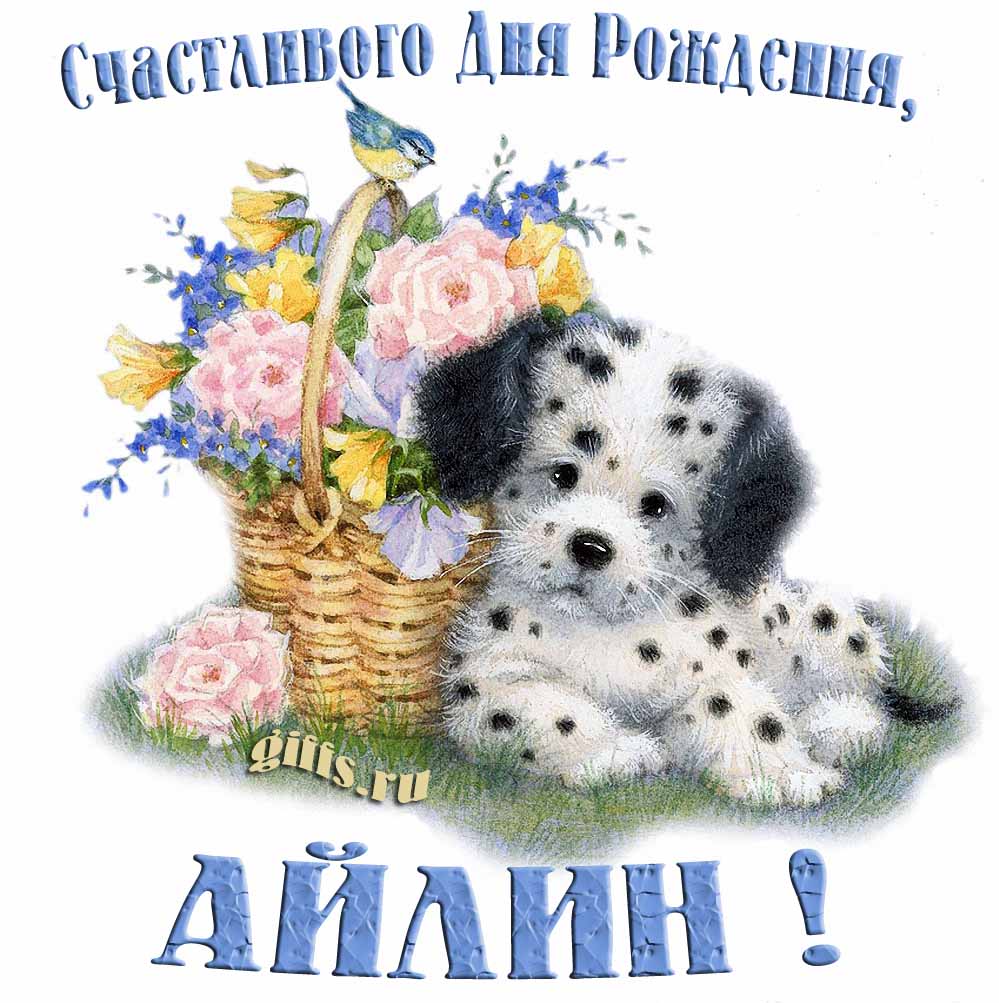 Прикольная и смешная открытка с корзиной цветов и собачкой для пожелания счастливого дня рождения Айлине. Прикольная и смешная открытка с корзиной цветов и собачкой для пожелания счастливого дня рождения Айлине.
