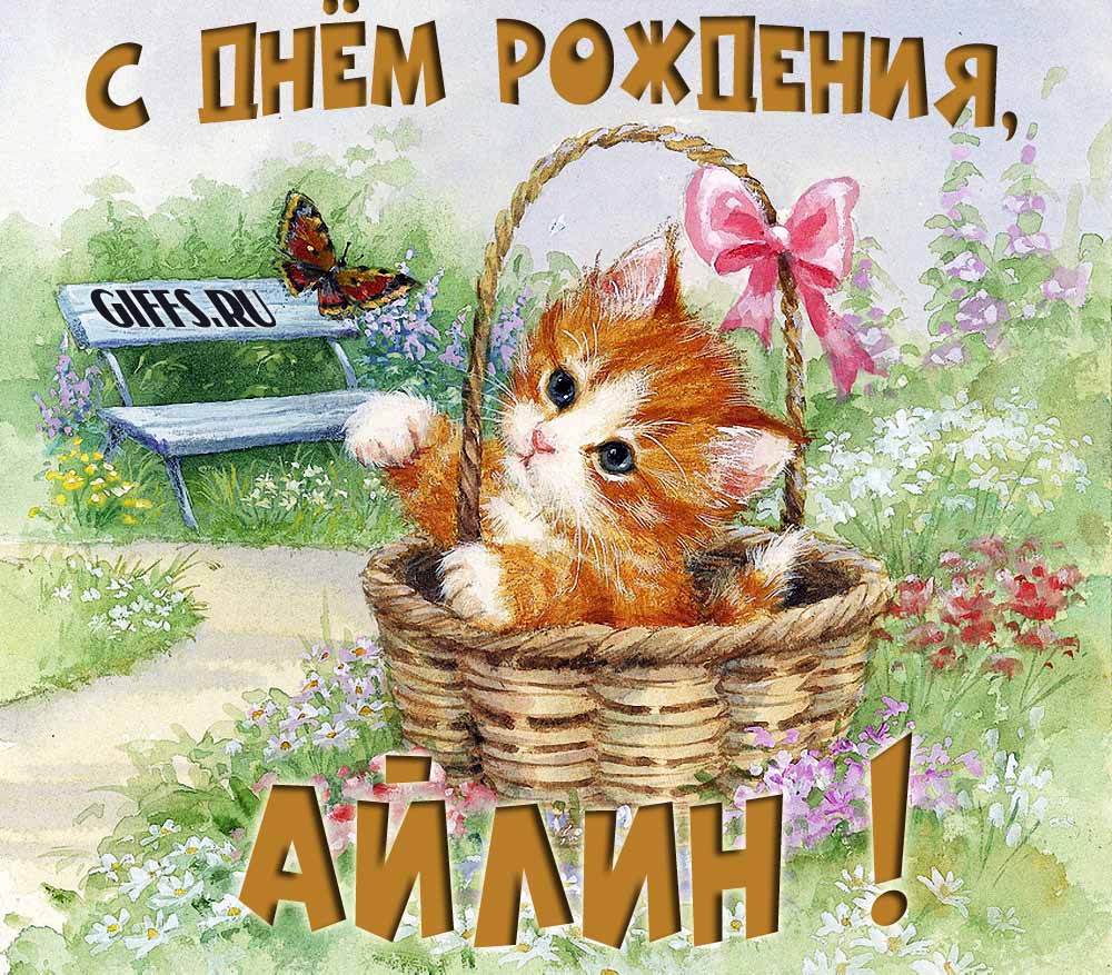 Милая летняя открытка с рыжим котёнком и поздравлением в день рождения для Айлины. Милая летняя открытка с рыжим котёнком и поздравлением в день рождения для Айлины.