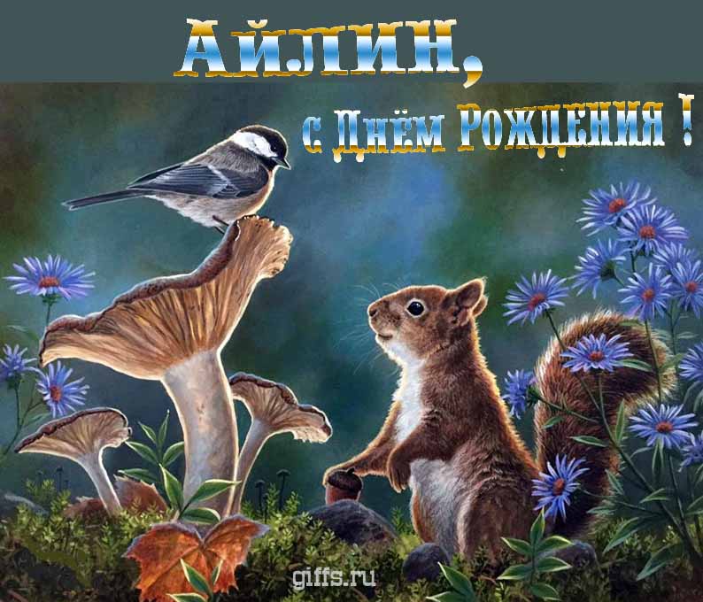 Прикольная и смешная открытка с белочкой среди грибов для поздравления Айлины с ДР. Прикольная и смешная открытка с белочкой среди грибов для поздравления Айлины с ДР.